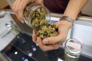 La corsa americana alla legalizzazione della cannabis